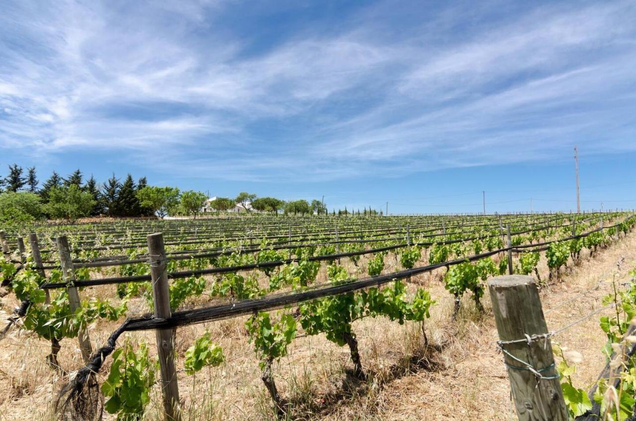 Casas Na Vinha - Monte Da Casteleja, Wine Estate - Eco Turismo Rural 拉哥斯 外观 照片