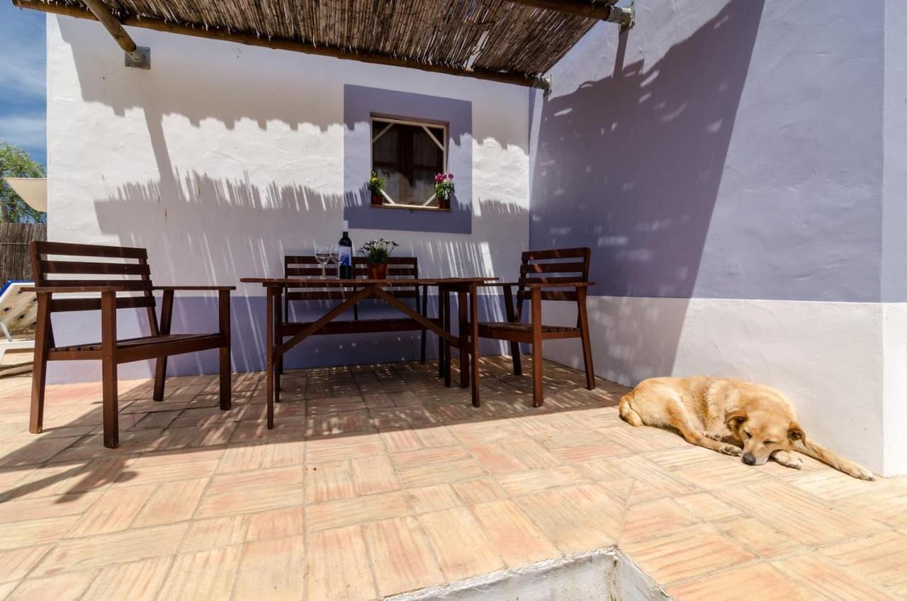 Casas Na Vinha - Monte Da Casteleja, Wine Estate - Eco Turismo Rural 拉哥斯 外观 照片