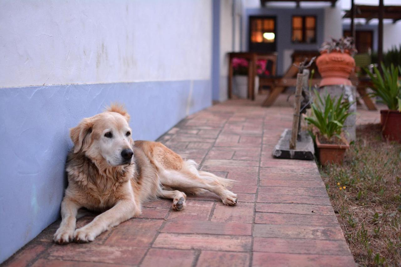 Casas Na Vinha - Monte Da Casteleja, Wine Estate - Eco Turismo Rural 拉哥斯 外观 照片