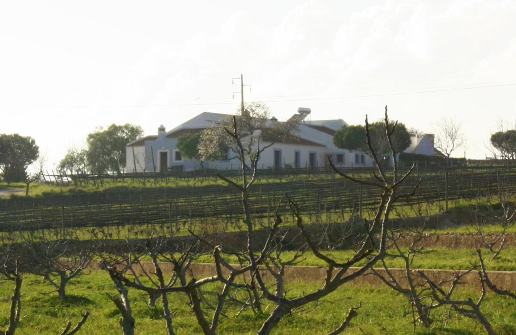 Casas Na Vinha - Monte Da Casteleja, Wine Estate - Eco Turismo Rural 拉哥斯 外观 照片