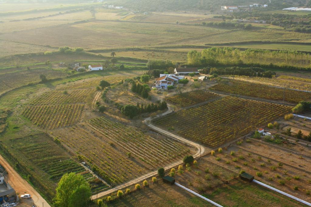 Casas Na Vinha - Monte Da Casteleja, Wine Estate - Eco Turismo Rural 拉哥斯 外观 照片