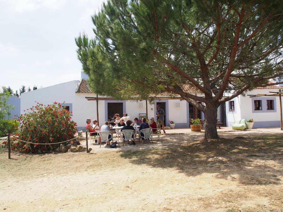 Casas Na Vinha - Monte Da Casteleja, Wine Estate - Eco Turismo Rural 拉哥斯 外观 照片